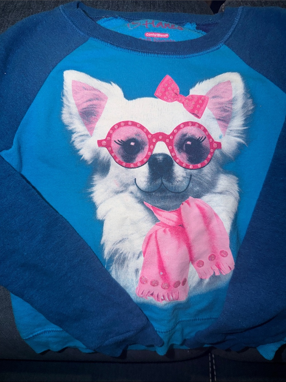 Sweatshirt-Doggie w/glasses